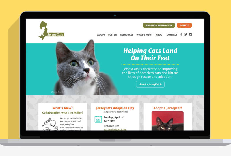 jerseycats.org homepage in laptop
